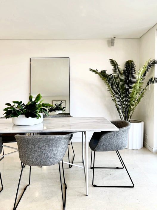 Tall plants are a great choice for a corner