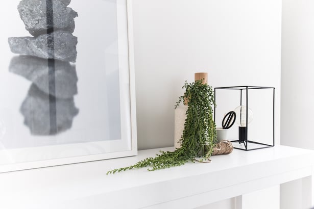 Hanging plants are perfect on shelves