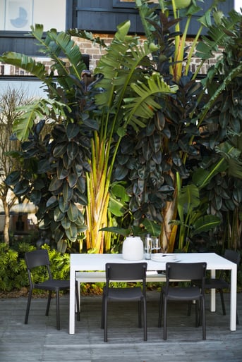 Greenery to enhance the surroundings 