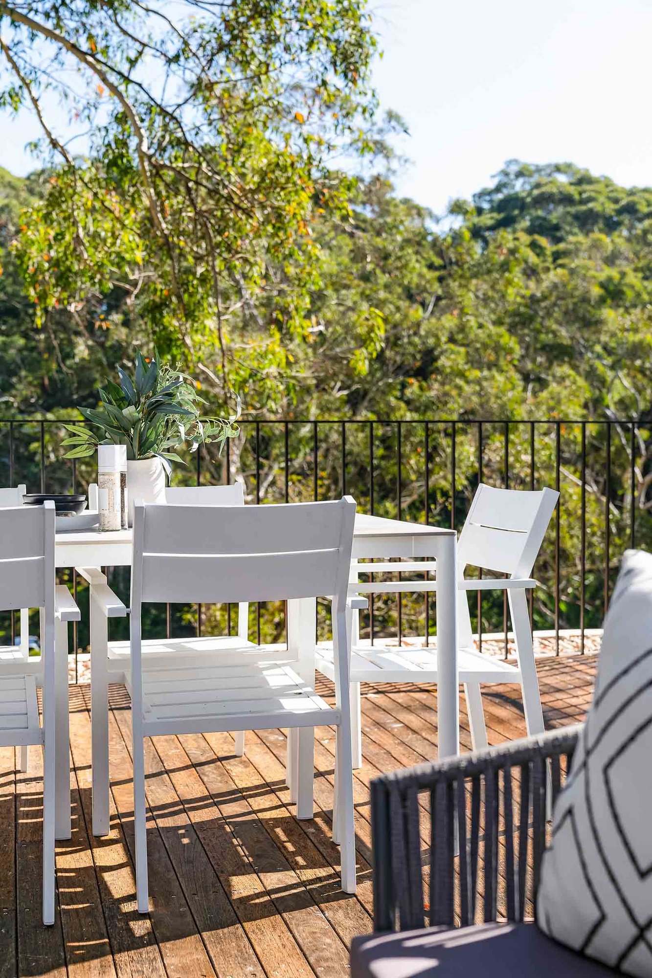 Bonnefin Rd Hunters Hill - DSC02410